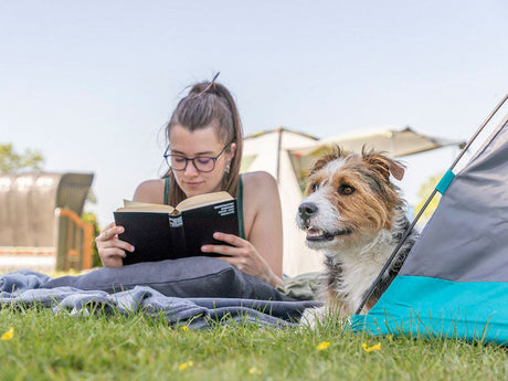Camping mit Hund – euer entspannter Campingurlaub