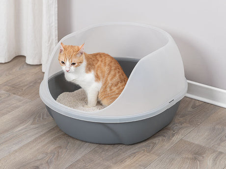 Das 1 mal 1 der Katzentoilette - Tipps und Tricks für Katzenhalter