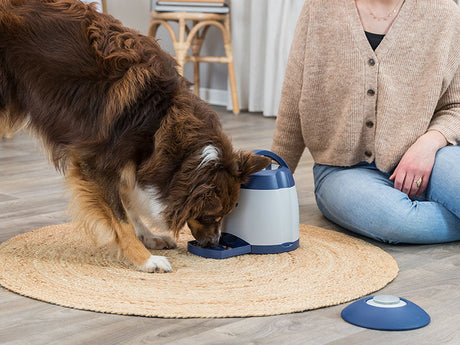 TRIXIE Memory Trainer - Das Strategiespiel für Hunde von TRIXIE