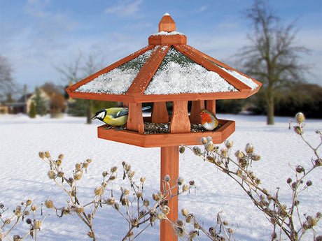 Fütterung von Wildvögeln im Winter