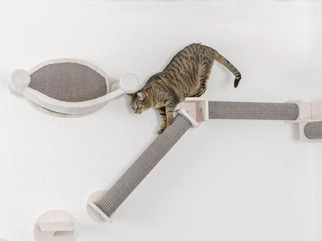 Kletterlandschaften für Katzen erschaffen - mit TRIXIE Wandelementen