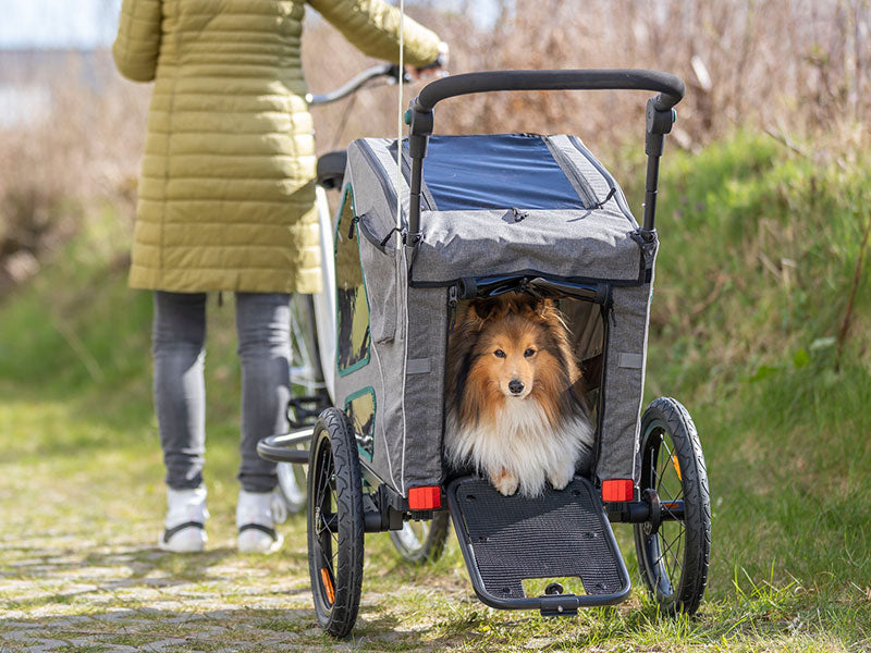 Fahrradfahren mit Hund - Anhnger und Zubehr  TRIXIE Heimtierbedarf GmbH  & Co. KG