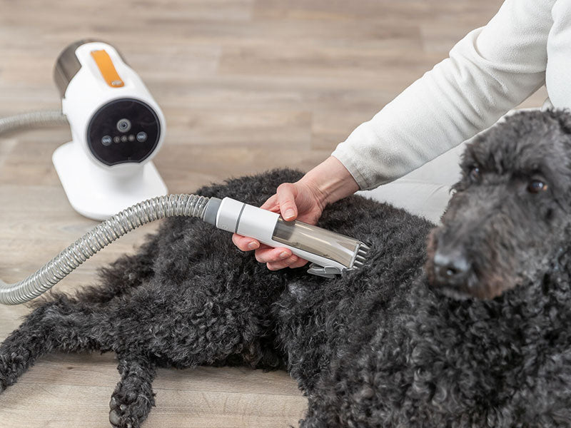 PAPMINI 2in1 Hundeschermaschine – Leiser Trimmer  Produktbild-Vorschau 8