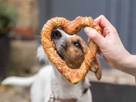 Hund schaut durch herzförmiges Gebäck, das von einer Hand gehalten wird