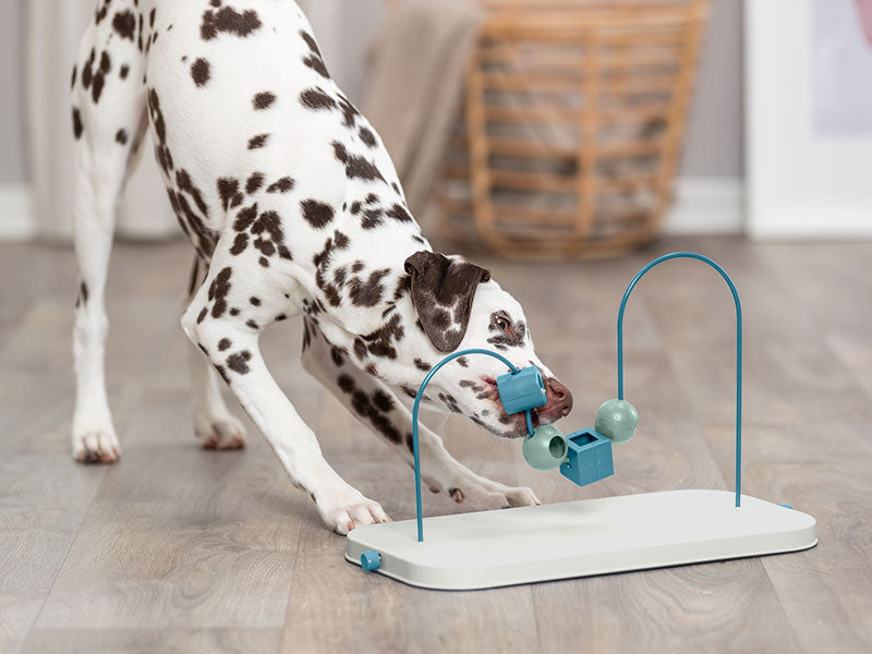 was ist rohasche im hundefutter Trainingsknöchelchen Rind (1kg-Eimer) main image 0
