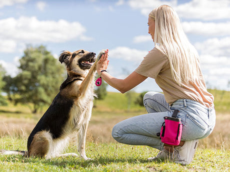 Frau gibt Hund auf Wiese ein High Five und trägt eine pinke Leckerlitasche am Gürtel.