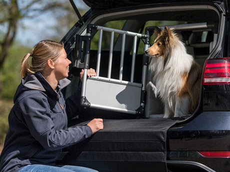 Frau kniet vor geöffneter Autotür und spricht mit Collie, der in einer Hundebox im Kofferraum sitzt.