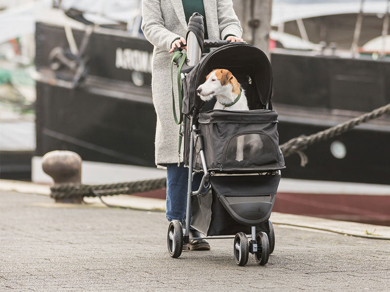 Buggys fr Hunde fr einen einfachen Transport  TRIXIE Heimtierbedarf GmbH  & Co. KG