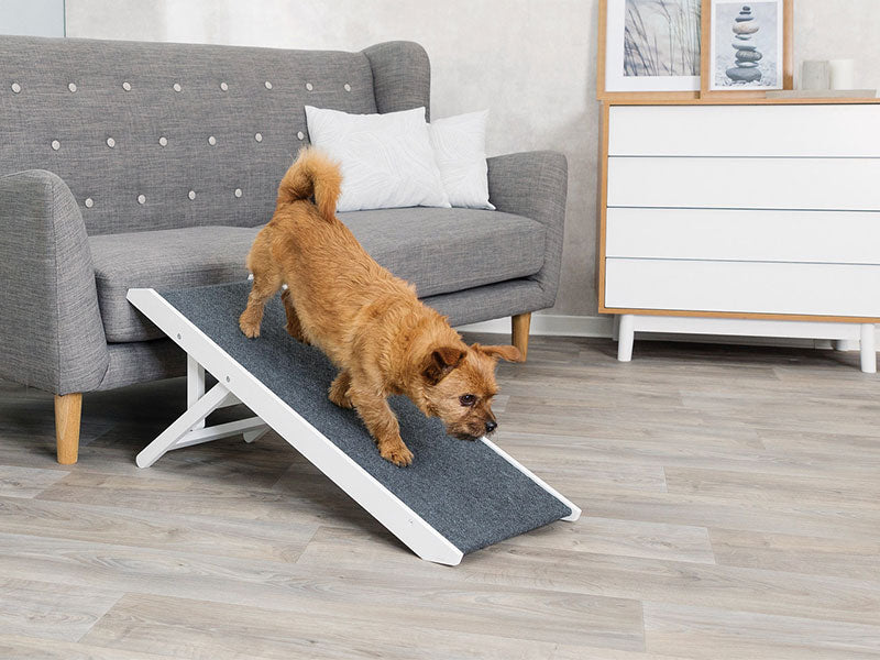 Treppen und Rampen fr Hunde von TRIXIE  TRIXIE Heimtierbedarf GmbH & Co.  KG