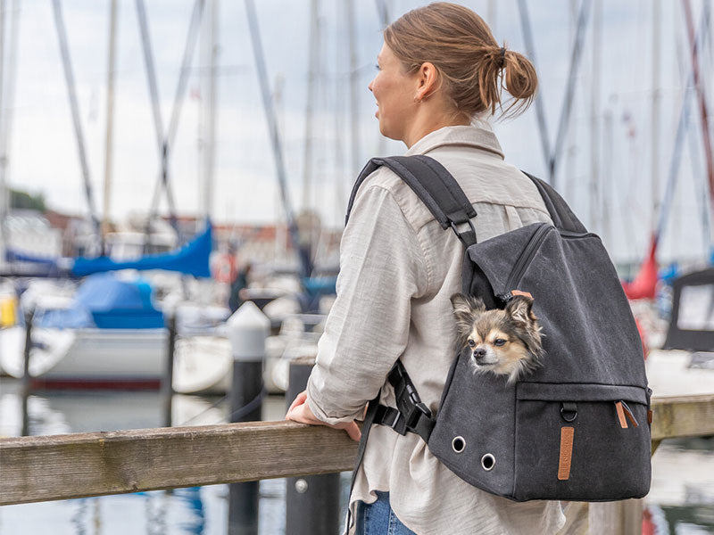 Frau steht am Hafen mit einem kleinen Hund im dunkelgrauen Rucksack auf dem Rücken