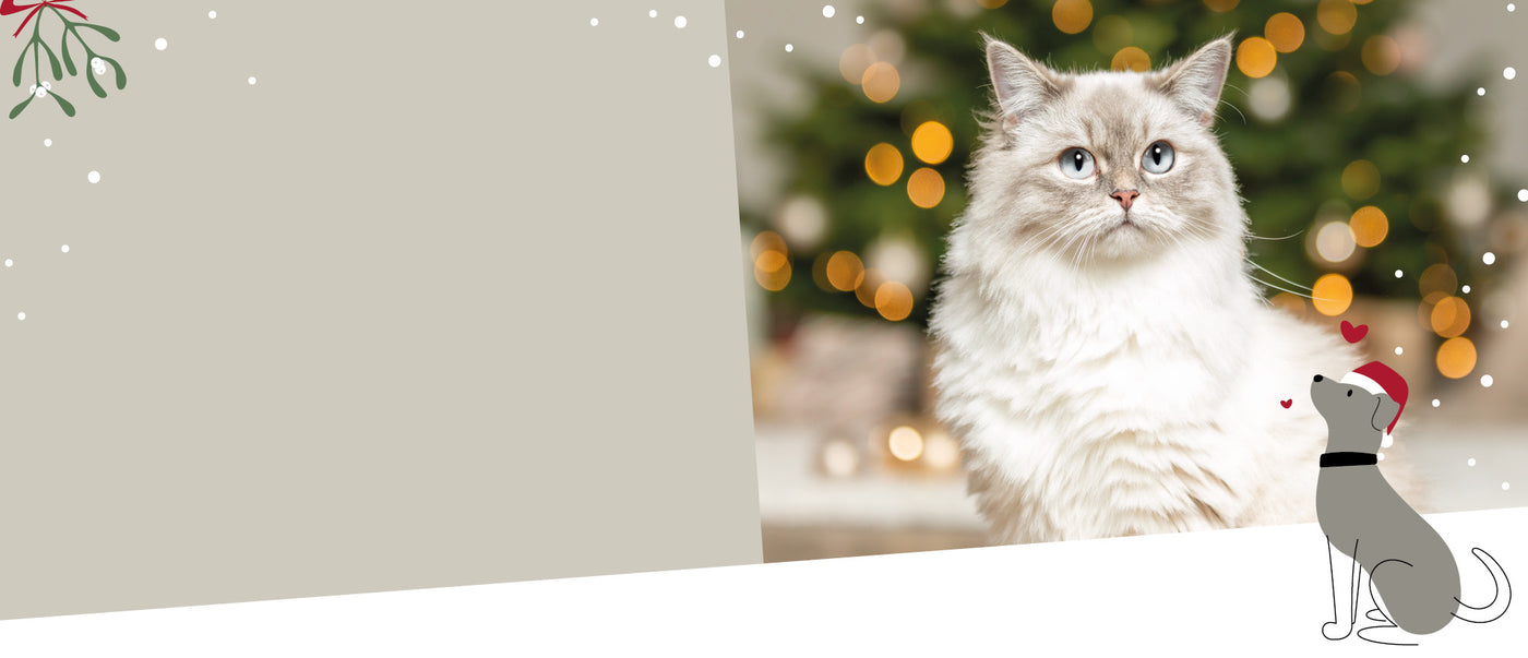 Weihnachtlich dekorierte Katze vor einem Tannenbaum – festliche TRIXIE-Produkte für Haustiere