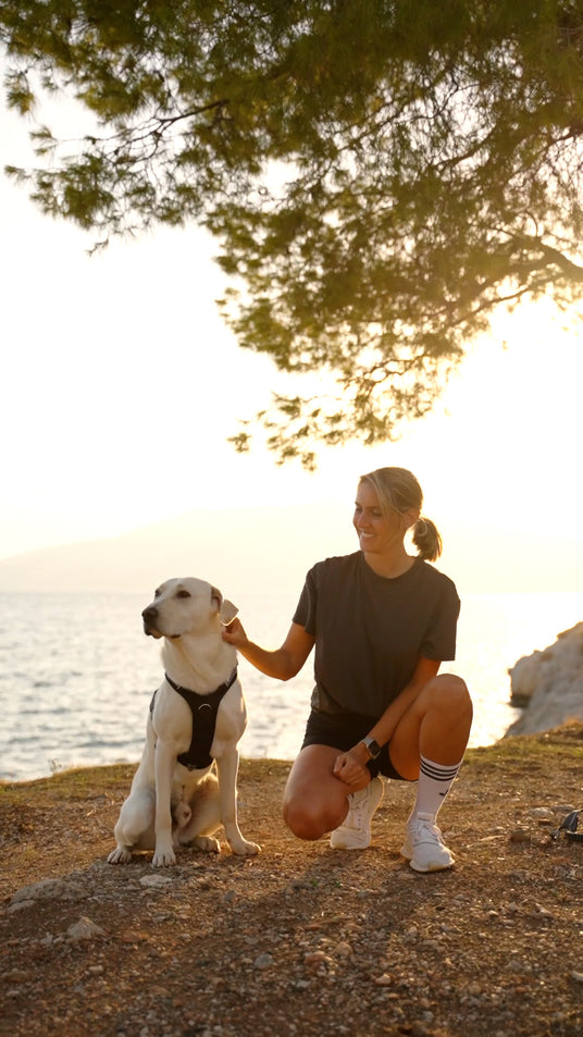Weißer Hund mit schwarzem Hundegeschirr sitzt links neben sportlich gekleideter Frau. Im Hintergrund Sonnenuntergangsstimmung, Natur und Wasser. Sie streichelt den Hund.