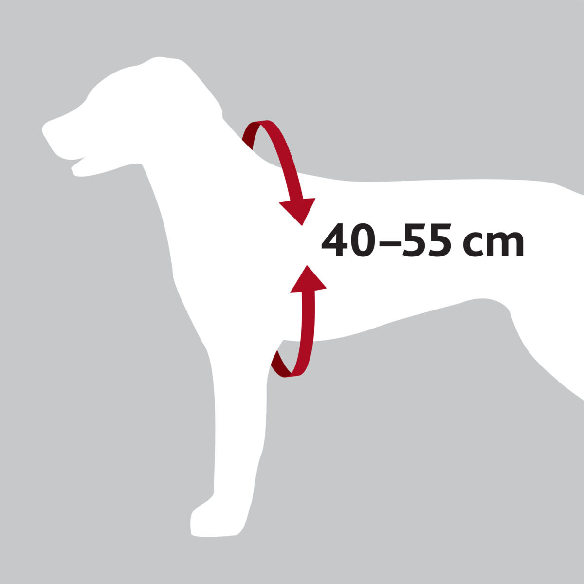 Silhouette eines Hundes mit rotem Pfeil um die Brust, Text "40–55 cm" als Maßangabe.