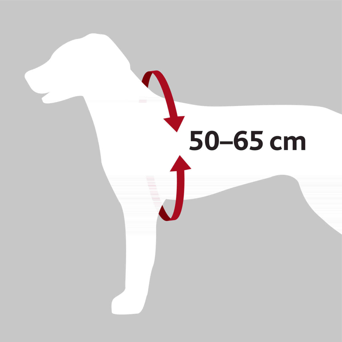 Silhouette eines Hundes mit Pfeilen um den Brustbereich und der Maßangabe 50–65 cm.