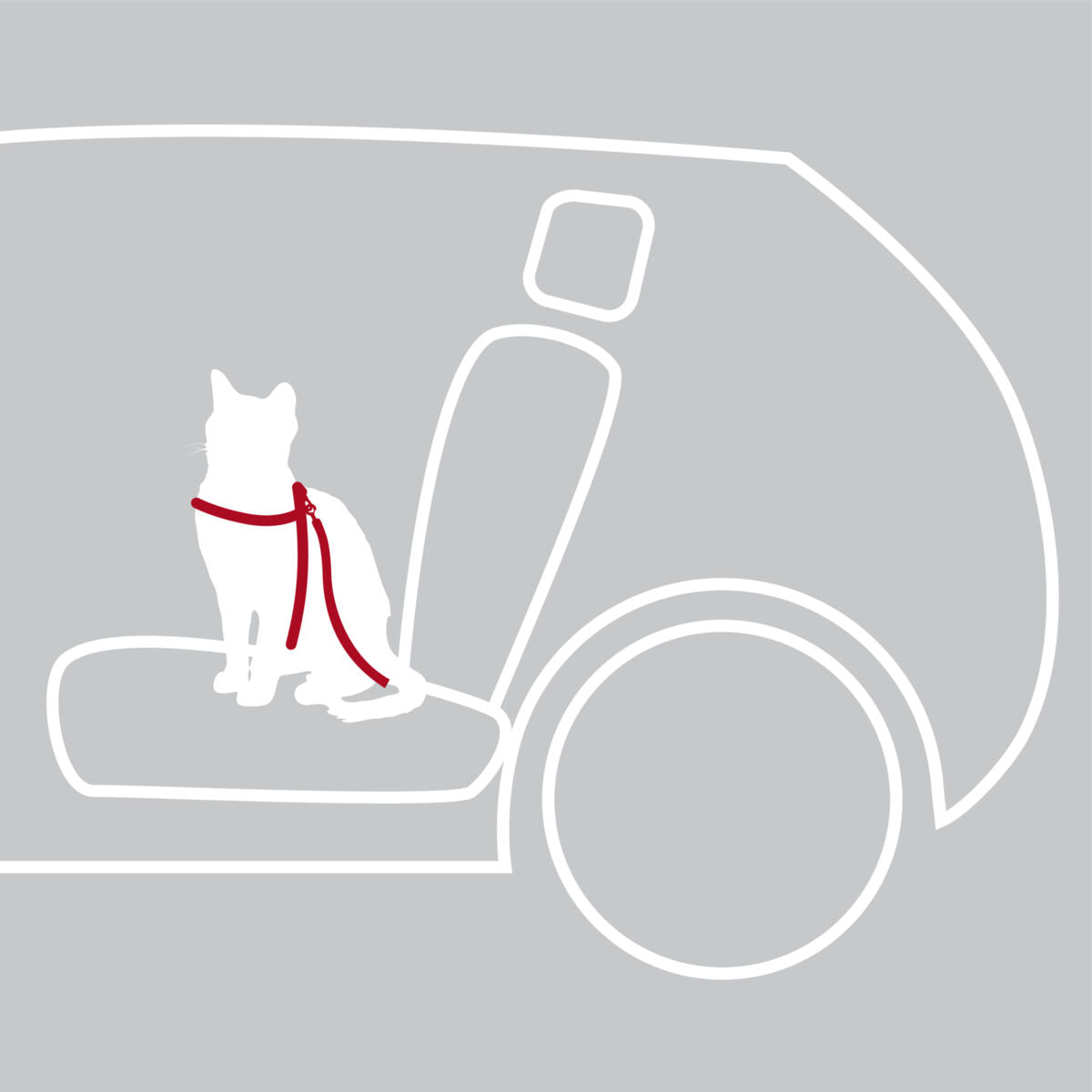 Silhouette einer Katze mit rotem Geschirr auf einem Fahrzeugsitz vor grauem Hintergrund.