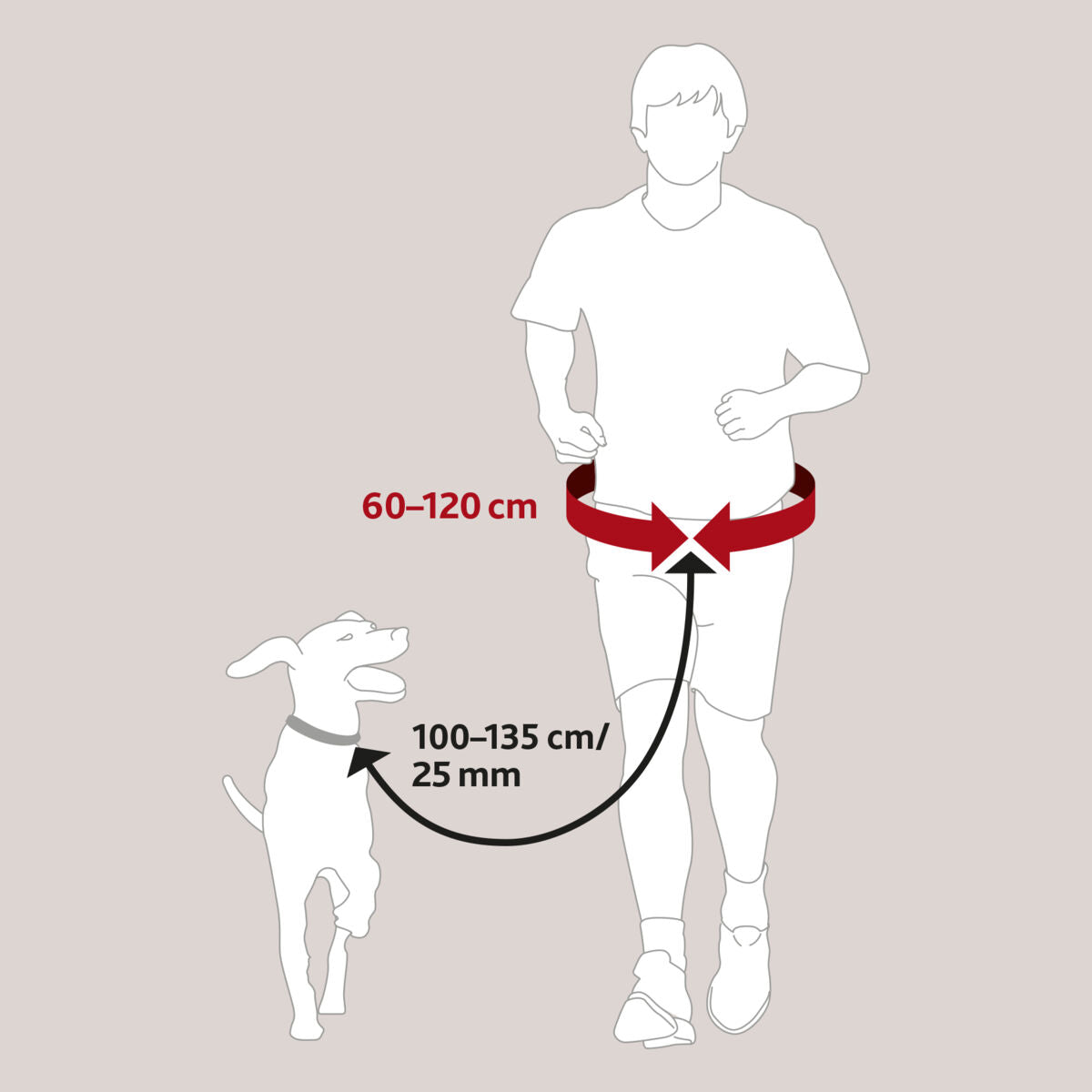 Illustration eines Joggers neben einem Hund, Verbindung durch eine rote Linie von 60-120 cm Länge, schwarzer Pfeil 100-135 cm/25 mm.