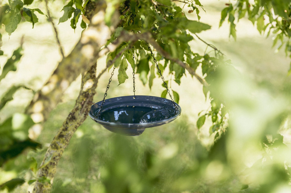 Eine blaue Vogeltränke hängt an Ketten in einem grünen Baum.