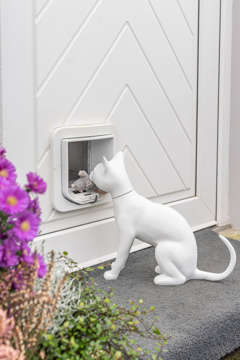 ZeroMOUSE – Smarter Beute-Stopper für bestehende Katzenklappen