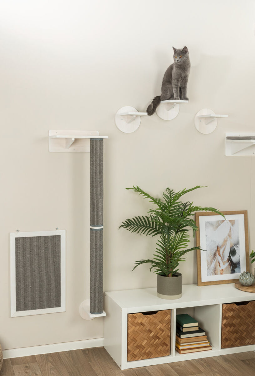 Eine graue Katze sitzt auf weißem Regalsystem an einer hellen Wand.