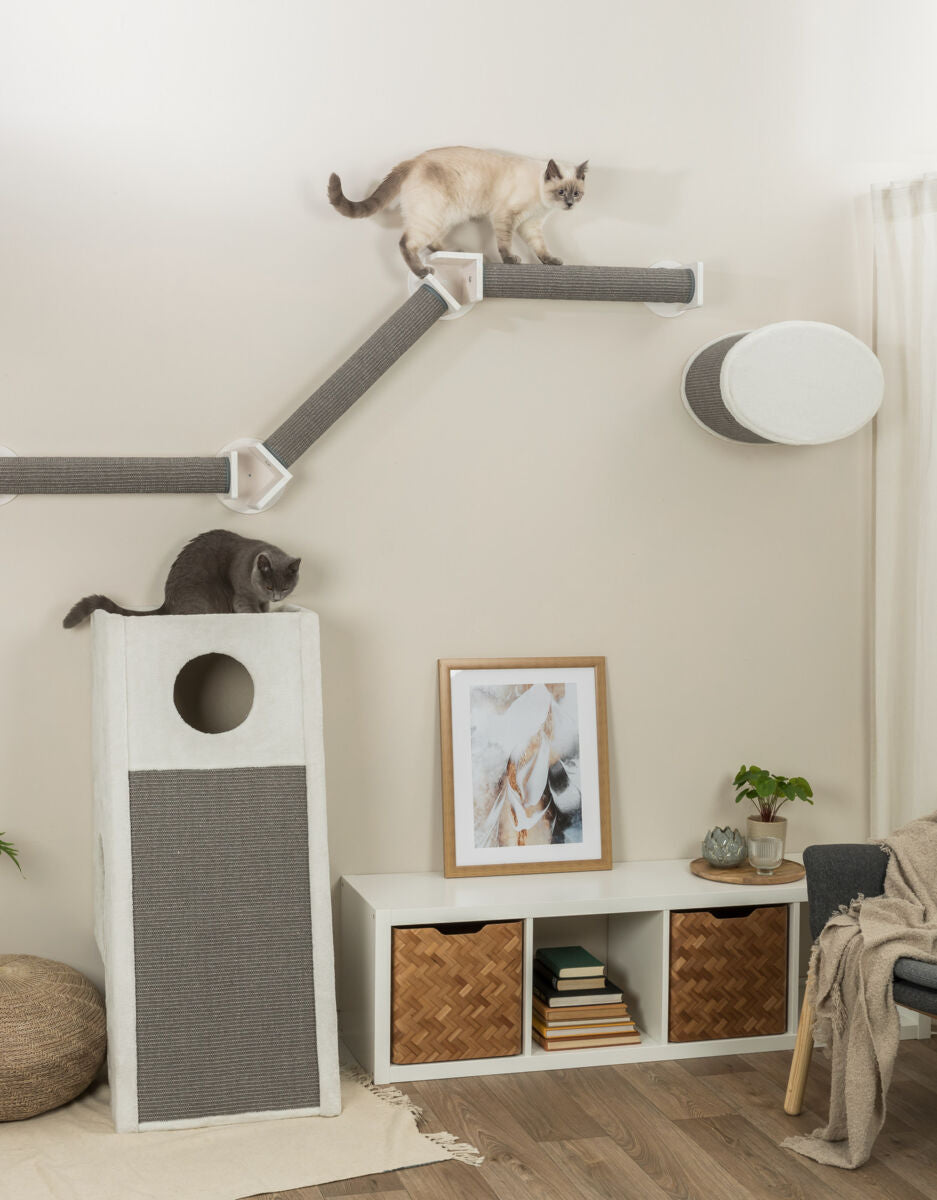 Zwei Katzen auf Kletterwand und Kratzbaum in modernem Wohnbereich.