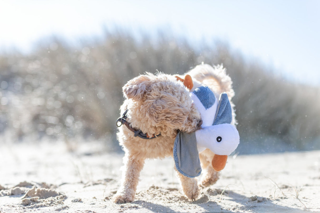 BE NORDIC Möwe Hinnerk