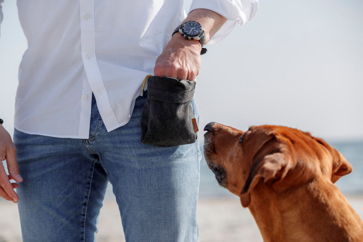 Person in weißem Hemd hält eine schwarze Tasche, während der Hund darauf schaut.
