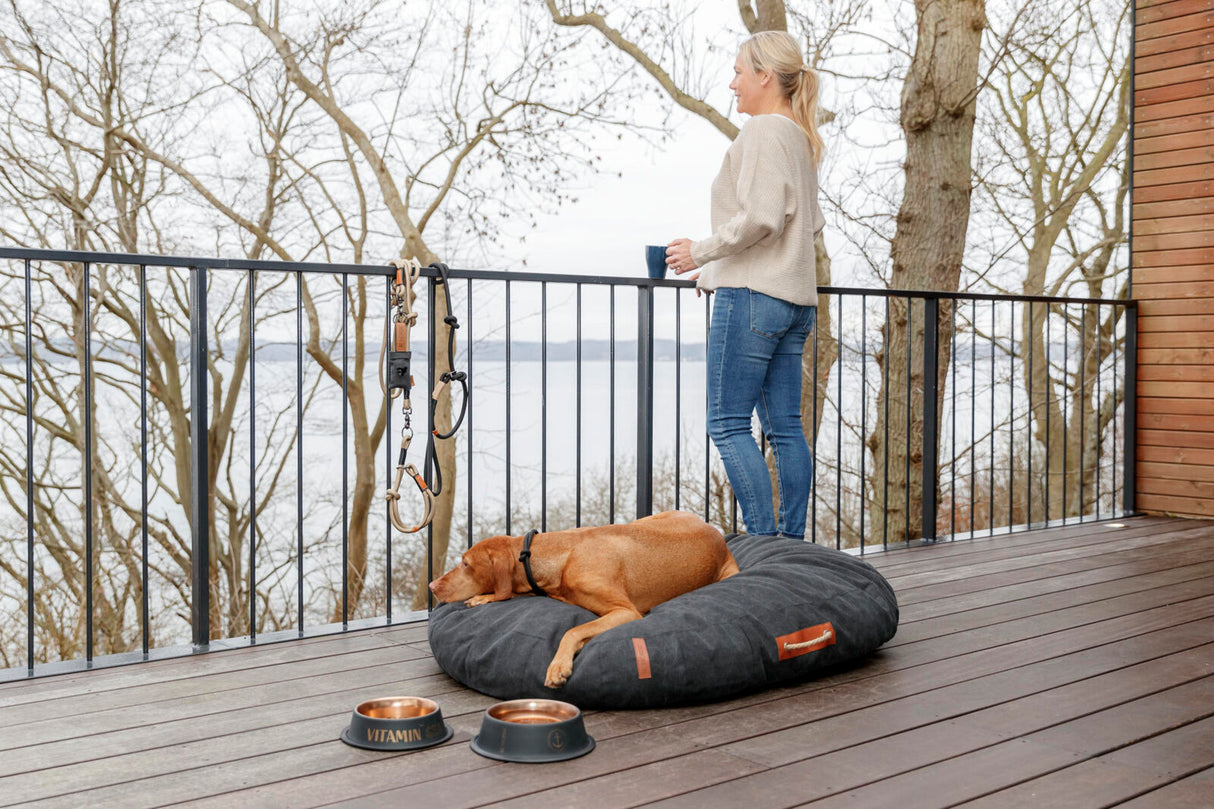 Hund auf grauem Hundebett liegt neben Futterschüsseln auf einer Terrasse mit Ausblick.