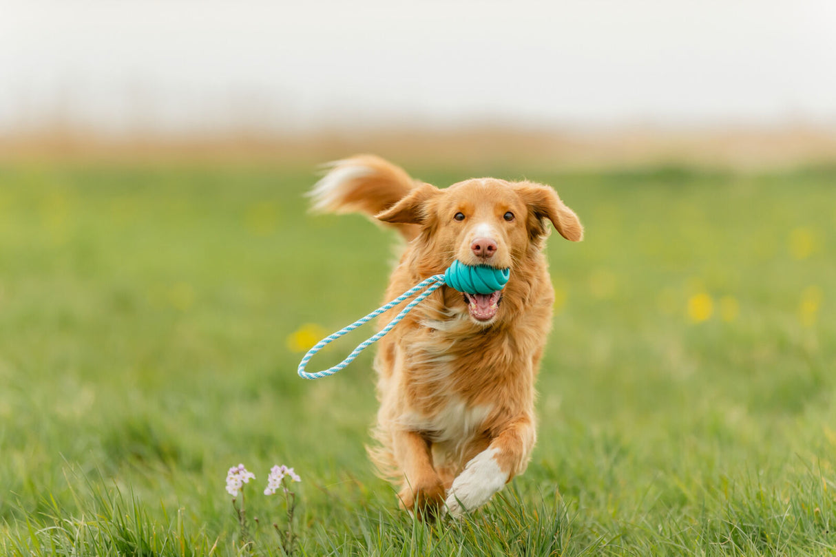 Hundespielzeug Super Strong Jumper mit Seil aus TPR