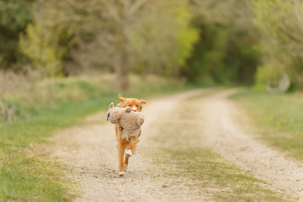 Hund aus braunem Strukturplüsch, geräuschloses Hundespielzeug
