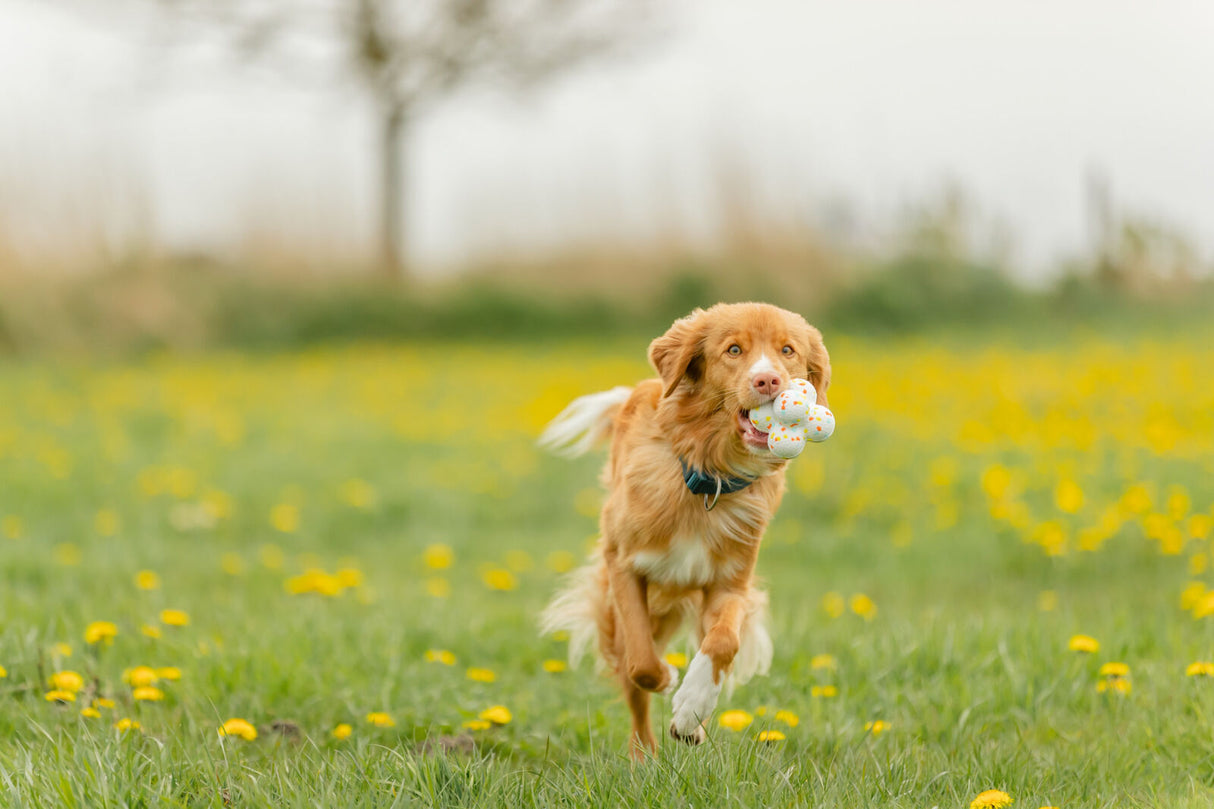 Hundespielzeug Light & Strong Bubble Ball aus EPS