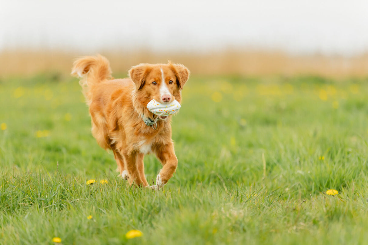 Hundespielzeug Light & Strong Rugby aus EPS