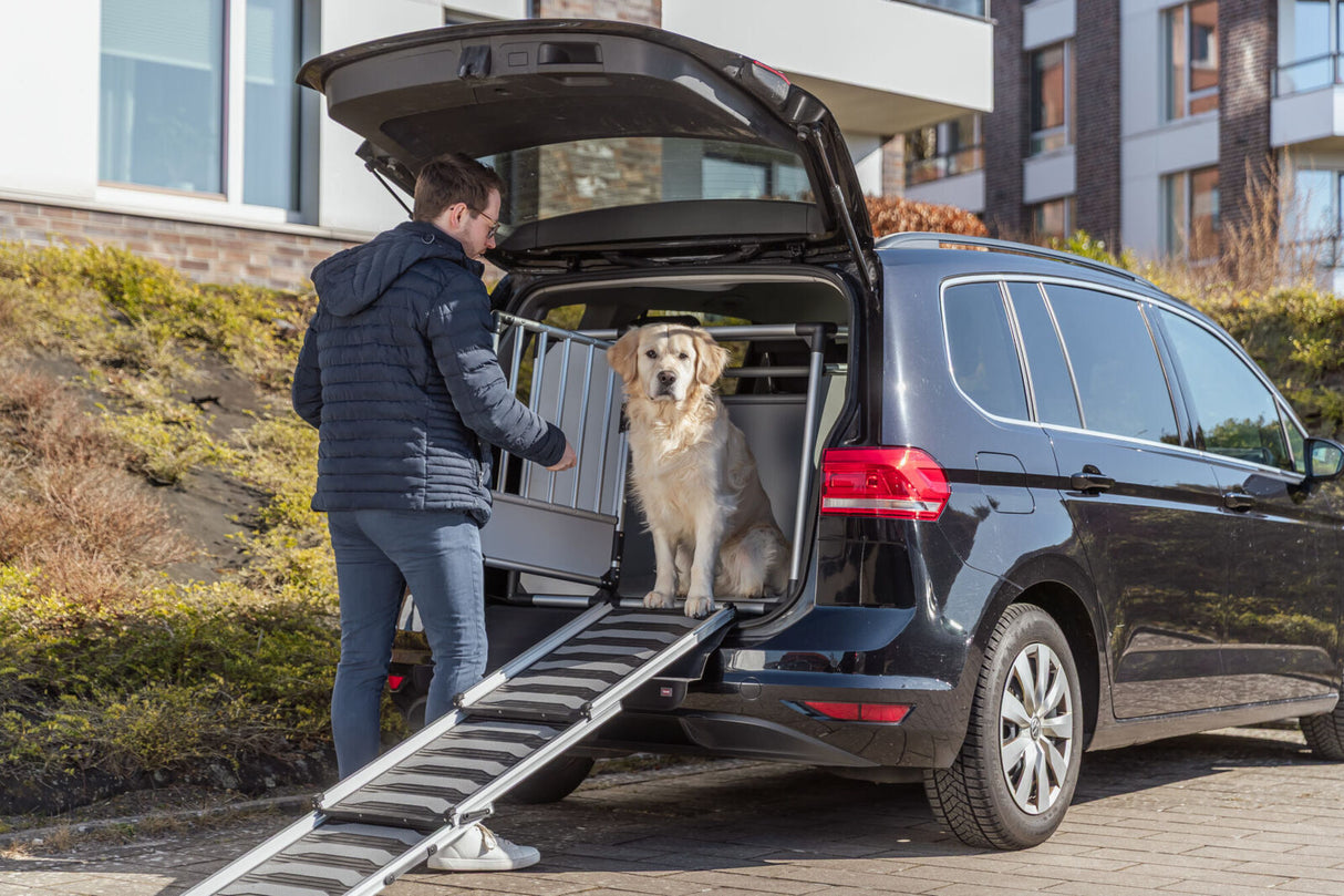 Person mit dunkler Jacke steht neben Auto mit offenem Kofferraum und Hund auf Rampe.