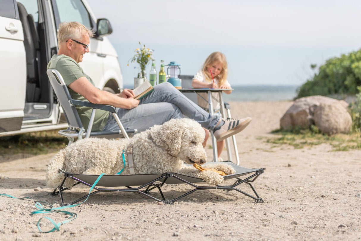 Mann sitzt lesend auf Klappstuhl neben Hund auf Liege am Strand.