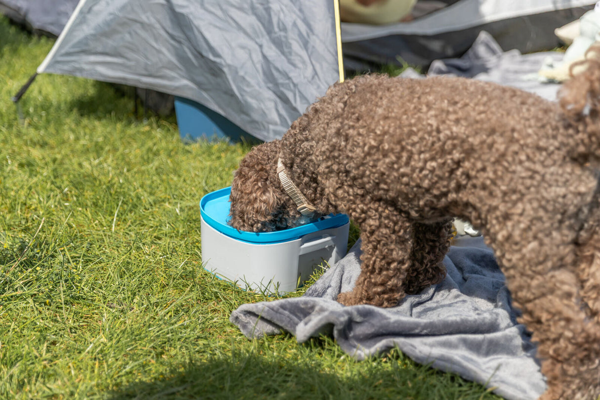 Anti-Schwapp-Reisenapf Strong