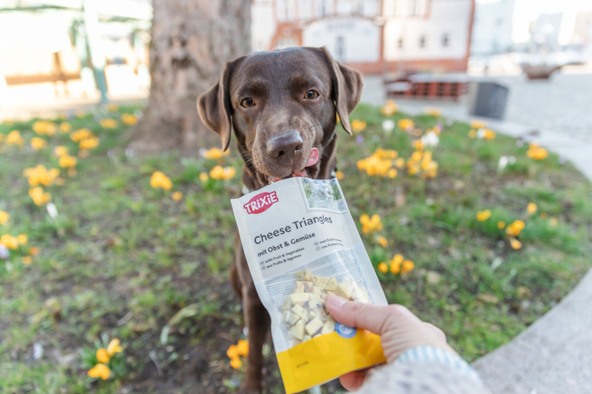 Brauner Hund sitzt im Garten und betrachtet eine Tüte TRIXIE Cheese Triangles.