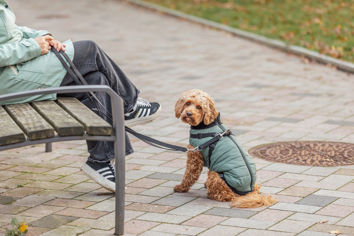 Geschirr-Mantel Pontis