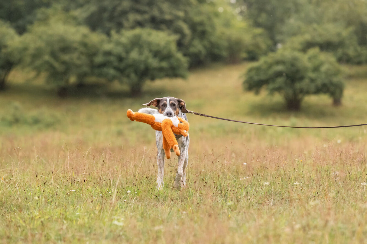 Hundeplüschtier Knisterfuchs
