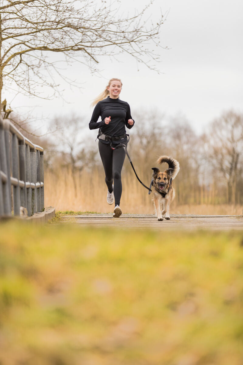 Person joggt mit angeleintem Hund auf einem Holzweg in einer natürlichen Umgebung.