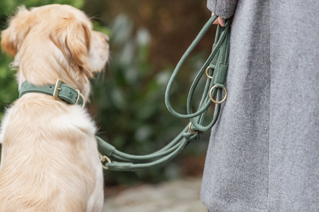 Pure Halsband, Leder extra breit