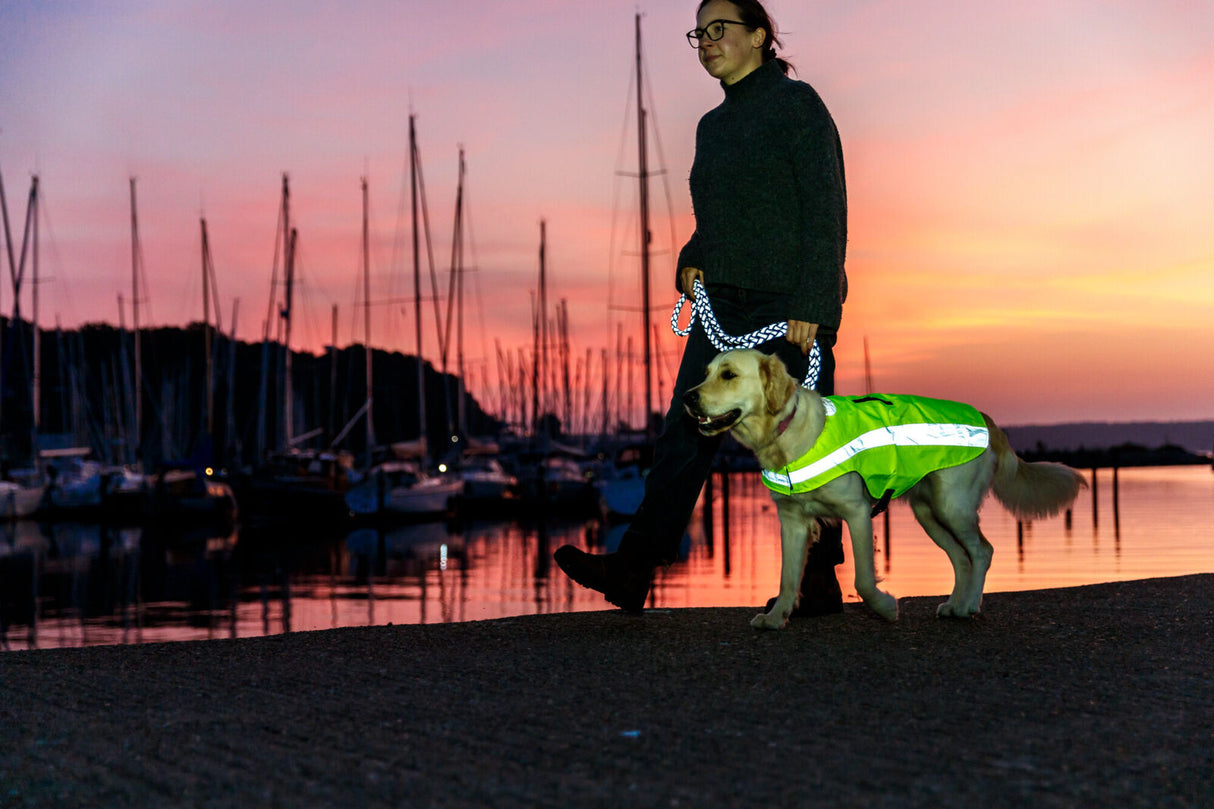 Person führt einen Hund mit gelber reflektierender Weste bei Sonnenuntergang am Hafen entlang.