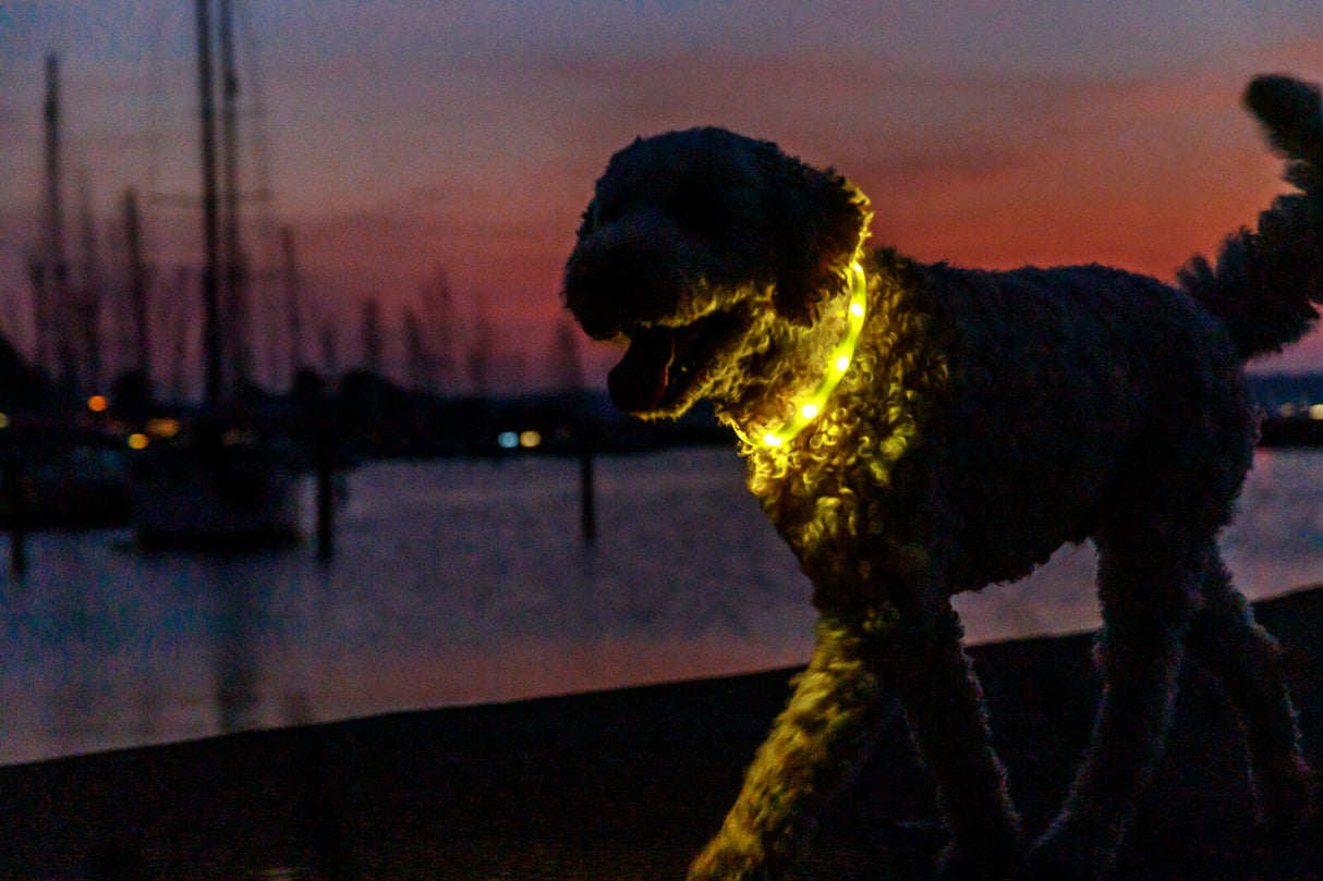 Flash Leuchtring USB