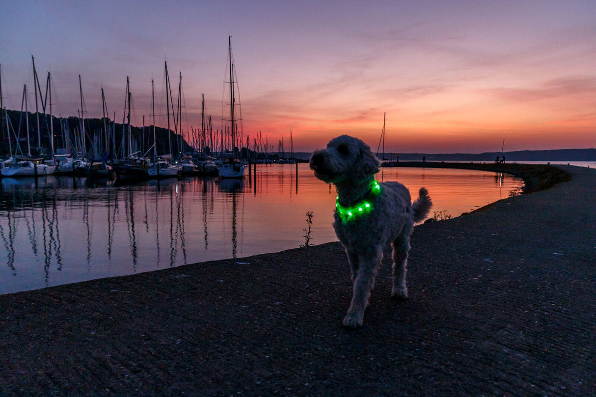 Flash Leuchtband USB