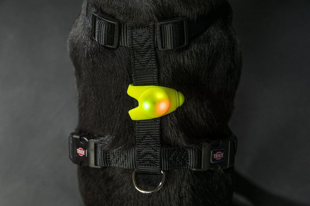 Schwarzes Hundegeschirr mit leuchtend gelbem Blinklicht auf dunklem Fell.
