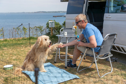 Hund gibt Mann Pfötchen. Der Hund Sitzt auf einer blauen Decke im Gras,der Mann sitzt daneben am Campingtisch auf einem Stuhl und lacht den Hund an. Mann trägt eine Sonnenbrille und das Wetter ist gut. Neben den beiden steht ein offener, weißer VW T5 Bus und im Hintergrund ist ein Hundezaun und das Meer zu sehen.
