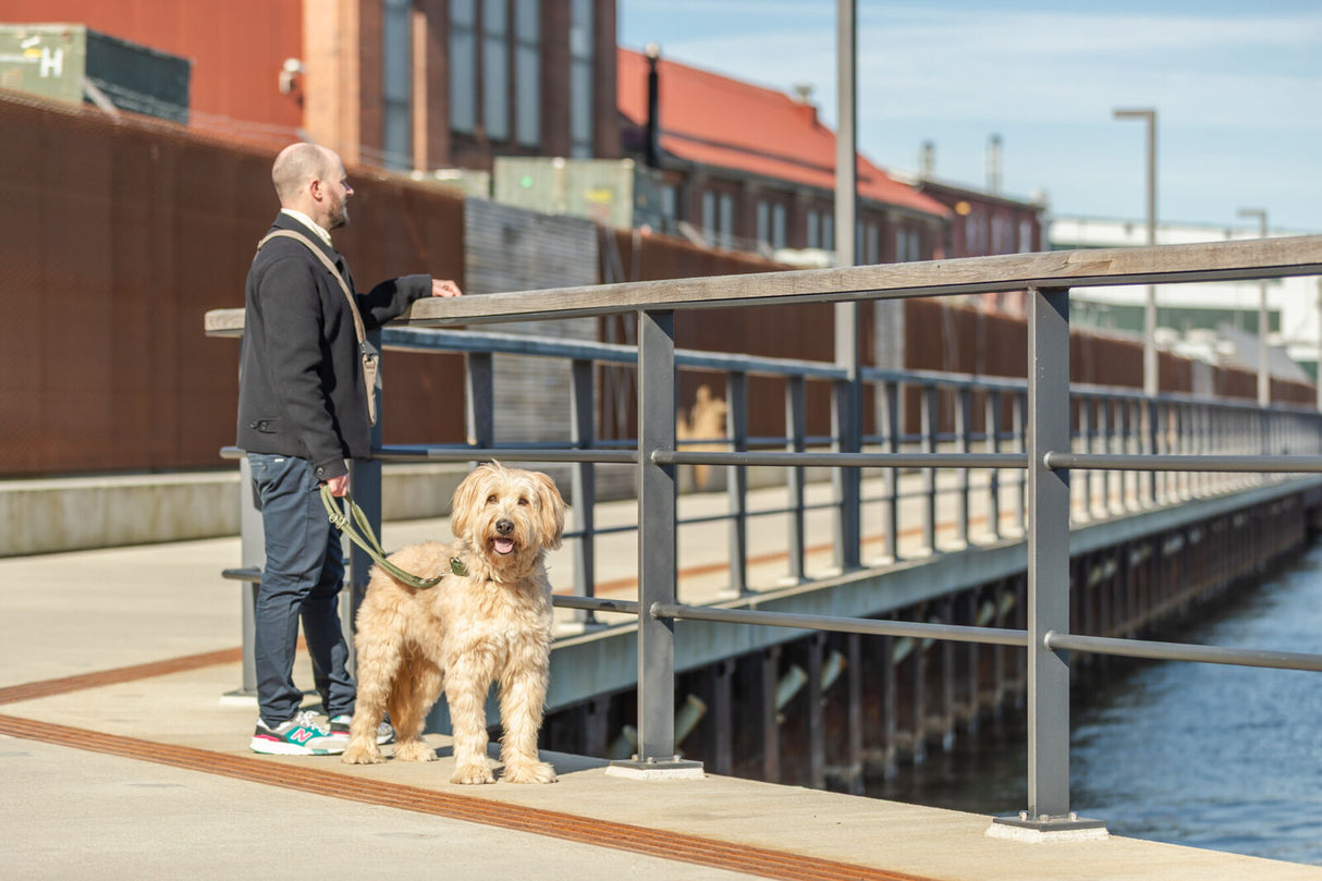 Verstellbare Hundeleine Summit mit Bergsteiger-Karabiner