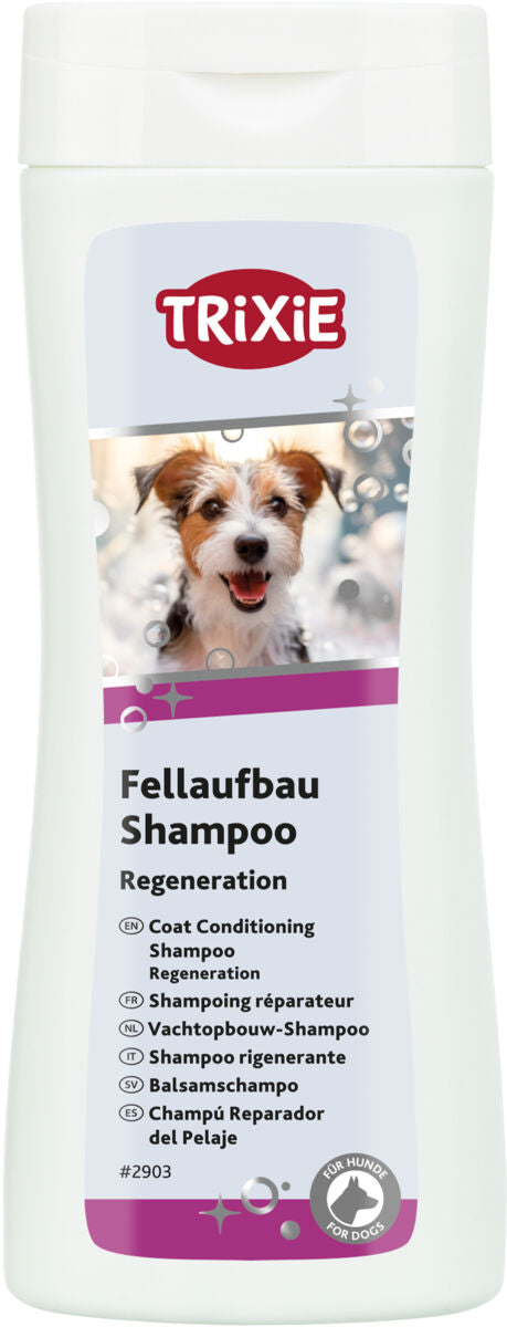 Fell-Aufbau-Shampoo