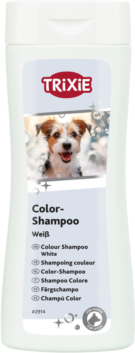 Color-Shampoo