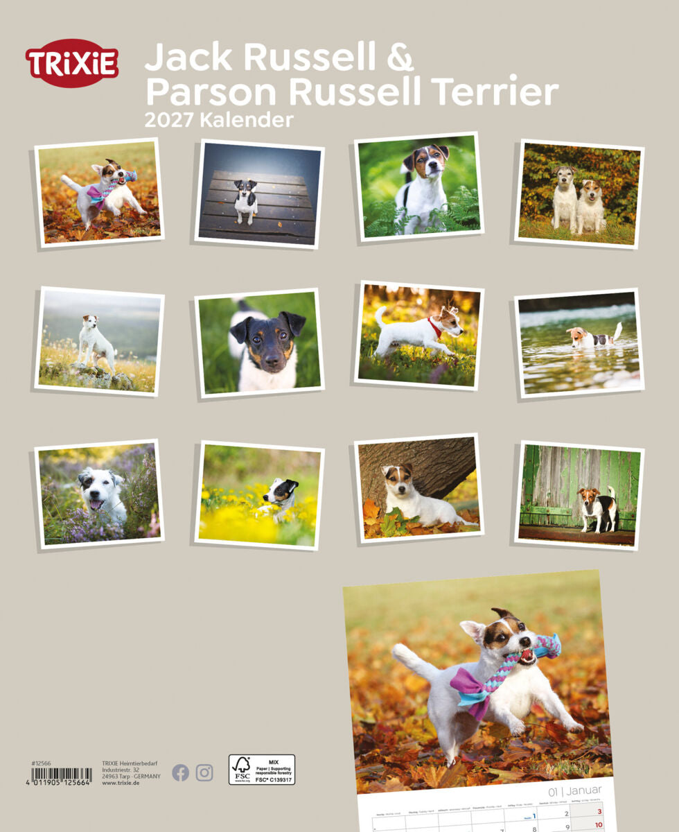 Eine Übersicht verschiedener Fotos von Jack Russell Terriern auf einem Kalender für 2027.