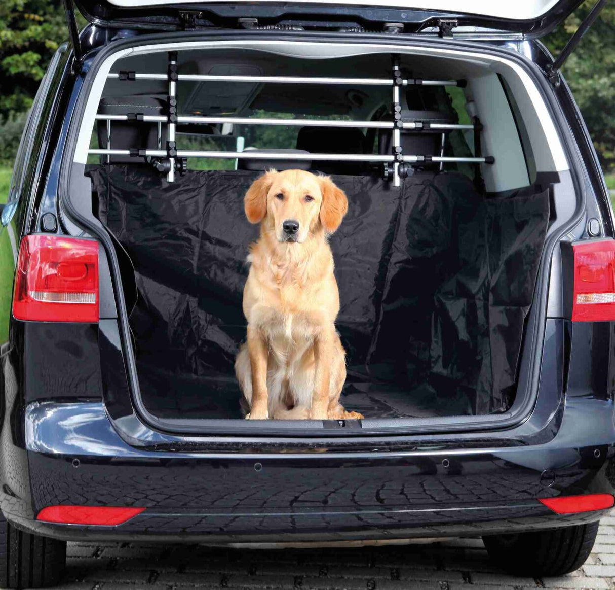 Ein Hund sitzt im geöffneten Kofferraum eines Autos auf einer schwarzen Schutzmatte.