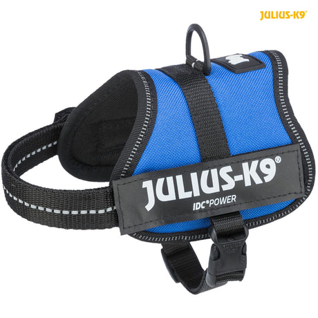 Blaues Hundegeschirr mit schwarzem Rand und kleinem D-Ring, aufgedruckter Text "Julius-K9 IDC Power" in Weiß.